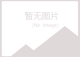 阿城字迹音乐有限公司